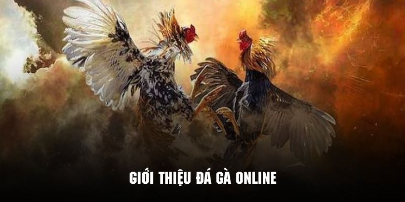 Giới thiệu hình thức đá gà online cực kỳ cuốn hút