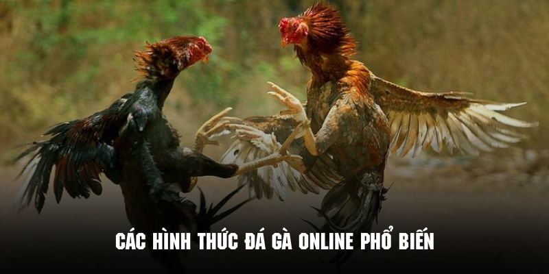 Những loại hình đá gà trực tuyến siêu cạnh tranh đáng đón xem
