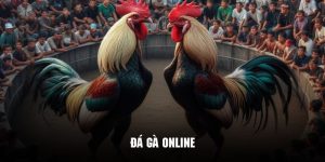 đá gà online