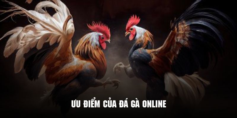 Nét độc đáo tạo nên sự đặc sắc cho sảnh đá gà online