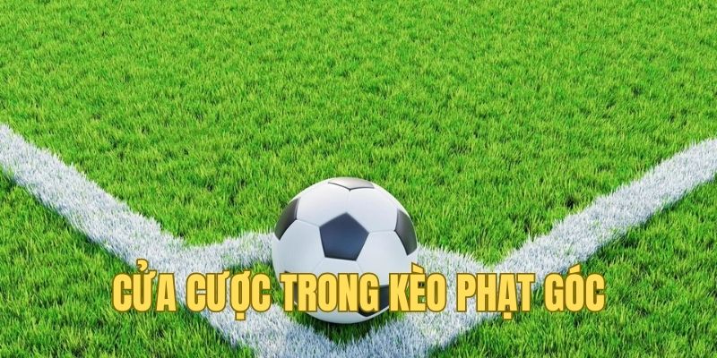 Các kiểu cược hấp dẫn trong corners