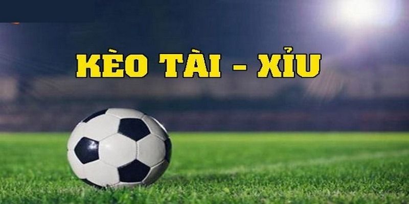 Hướng dẫn cách đọc kèo đúng nhất cho người mới